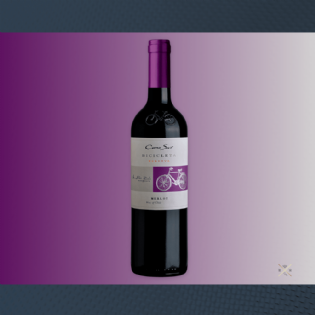 Vinho Tinto Cono Sur Bicicleta Reserva Merlot