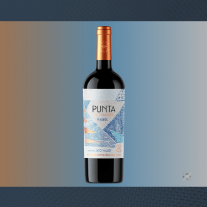 Vinho Tinto Punta de Flechas Wine Estate Malbec 2021
