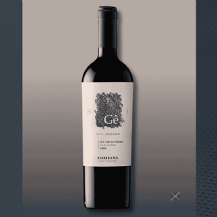 Vinho Tinto Gê 2016