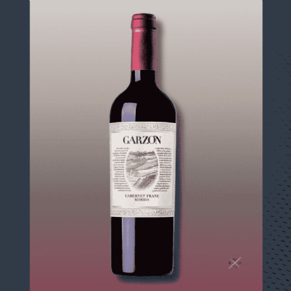 Vinho Tinto Garzón Reserva Cabernet Franc