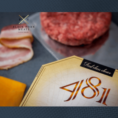 Hamburguer de Picanha 481