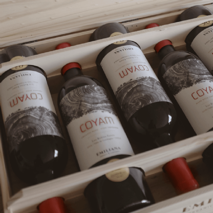 Vinho Chileno Emiliana Tinto Coyam Vertical Caixa Especial 6 Safras
