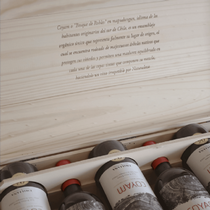 Vinho Chileno Emiliana Tinto Coyam Vertical Caixa Especial 6 Safras