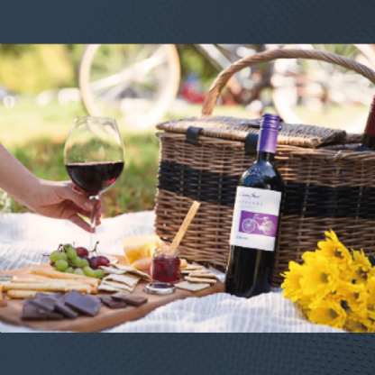 Vinho Tinto Cono Sur Bicicleta Reserva Merlot
